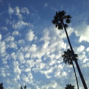 Meet your Posher, Lou